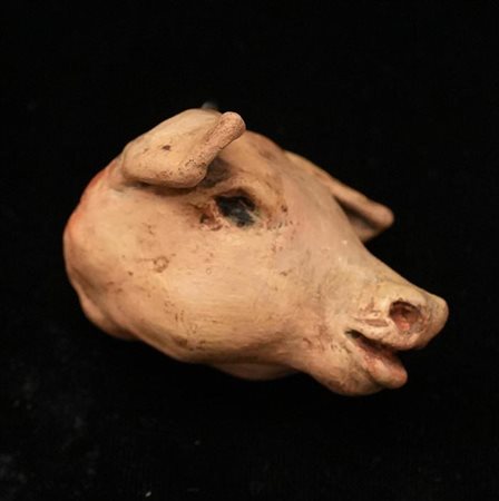 Testa di maiale