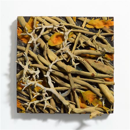 PIERO GILARDI
Rami, 1985