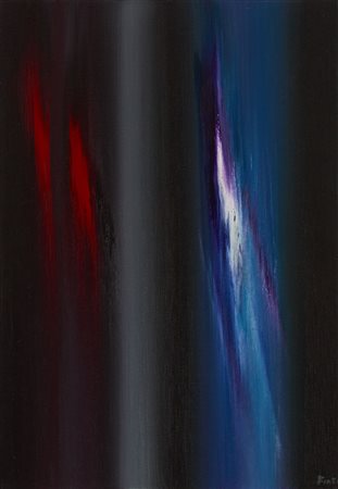 ENNIO FINZI
Il verso del colore in nero, 