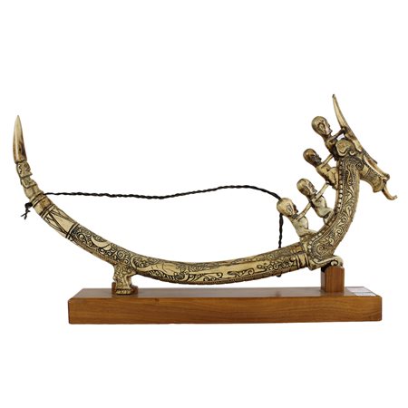 CORNO DI BUFALO PER MEDICINE