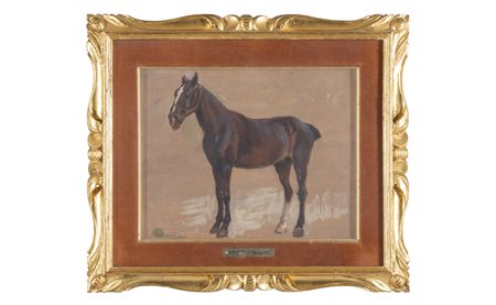 PENNASILICO GIUSEPPE