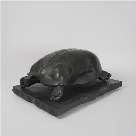 Novello Finotti, Donna tartaruga