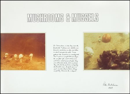 HUTCHINSON PETER Londra 1930Mushrooms & mussels, 1969collage di fotografie su...