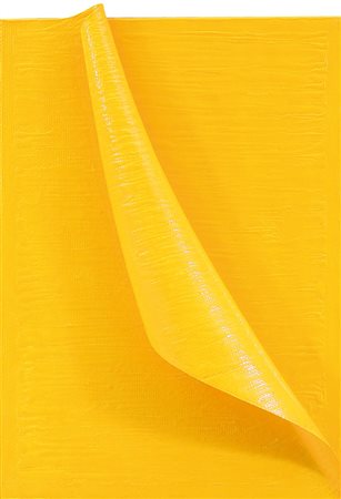 BACCARIN ANTONIO Cavarzare 1954Senza nome, 2012acrilico su tela e su...