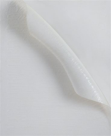 BACCARIN ANTONIO Cavarzare 1954Senza nome, 2008acrilico su tela con...