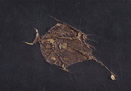 MARCHEGIANI ELIO Siracusa 02/09/1929Struttura, 1963tecnica mista su faesite...