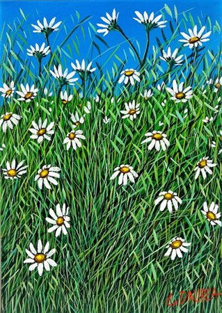 Giovanni Daurea “Cespuglio con margherite bianche”