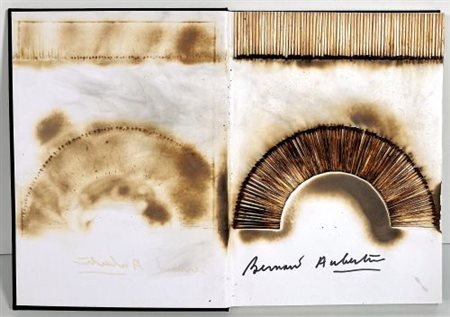 Bernard Aubertin “Livre Brûlé Rosenberg” 2010
