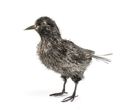  
Merlo in argento  Italia, XX secolo 
 Altezza x larghezza x profondità: 19 x 10,5 x 20 cm. Peso: 250 gr.