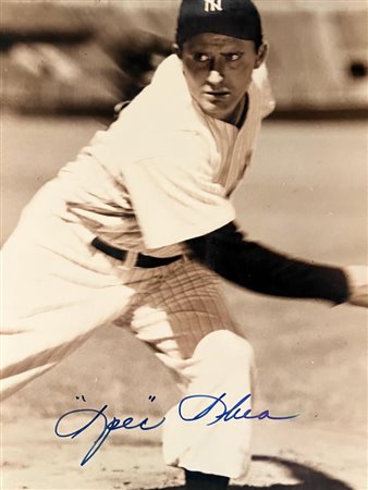 Spec Shea signed photo