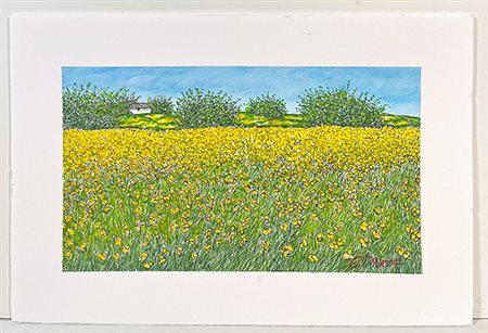 DAUREA GIOVANNI, "Primavera"