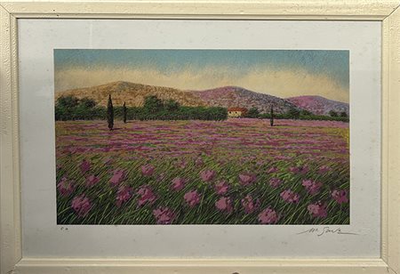 MARIO SOAVE, "Campagna rosa"