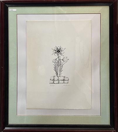 ALDO SESSA, "Girasole"