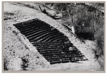 Elio Ciol (1929), da
Lungo l’Arzino, Val d’Arzino, 1989