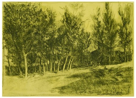 Lino Bianchi Barriviera (1906 - 1985)
“Al Salano”, 1976