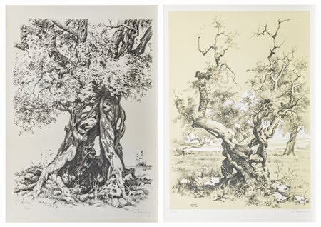 Angelo Marinucci (1909 - 1994)
Ulivo ad Ostuni, 1962