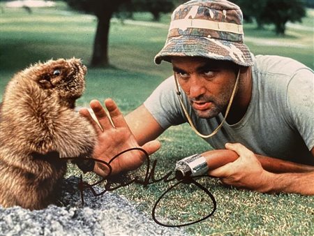 Caddyshack Bill Murray signed photo