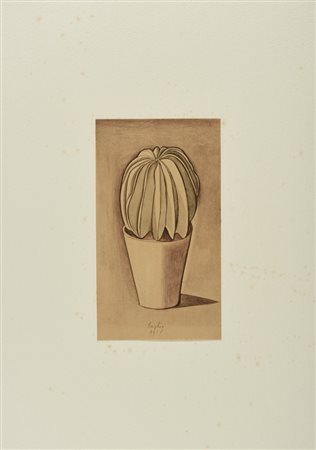 MORANDI GIORGIO (1890 - 1964) - CACTUS (DAL VOLUME GIORGIO MORANDI 50 DISEGNI DI MORANDI - 50 TAVOLE).