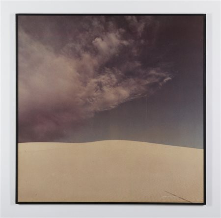 FONTANA FRANCO (n. 1933) - DALLA SERIE "NATURA", ANNI '70.