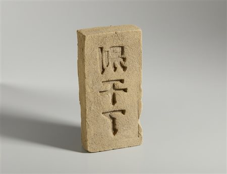 TIRAVANIJA RIRKRIT (n. 1961) - COYOTE.