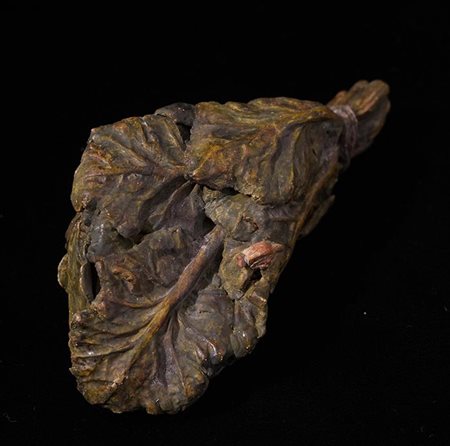 Fascio di verdure con lumaca