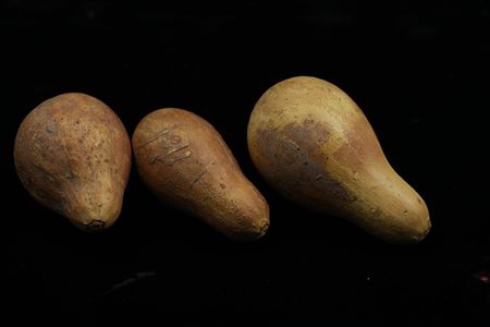 Trio di zucche