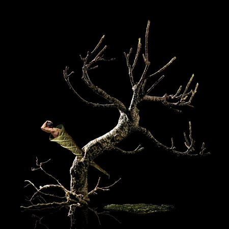 J&PEG Supreme sacrifice 2009 Fotografia e acrilici su PVC cm. 70x70...