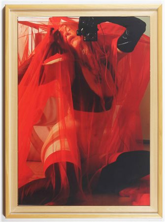 NESS NORA (n. 1961) Bird cage. 2007. Lambda print. Cm 70,00 x 100,00. 1/5. Al...