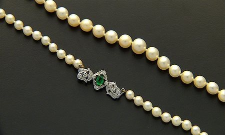 COLLANA COLLANA. Ad un filo di perle coltivate Giappone disposte a degrader...