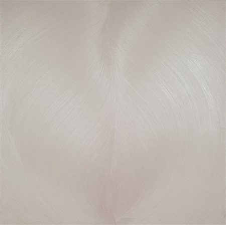 MARTIN JASON (1970-) Scent 2007olio su alluminio cm 172x172firmato e datato...