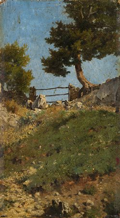 Maestro napoletano del XIX secolo "Scorcio con alberi" olio su tavoletta (cm...