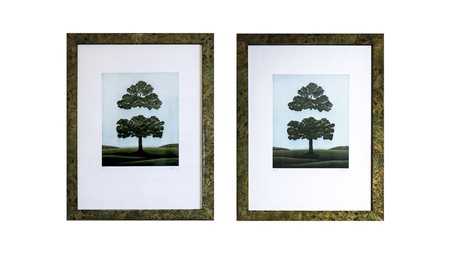 ALBERI coppia di acquatinte, es 8/90 e 20/90, firmato, in cornice cm 40x30...