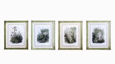 SCORCI DI BOSCO serie di quattro litografie francesi, in cornice cm 43x32 (4)...
