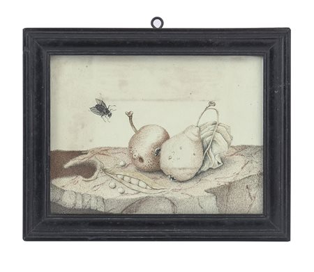 GARZONI GIOVANNA Ascoli Piceno 1600 - Roma 1670(ambito di) Natura morta con...
