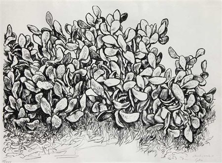 GUTTUSO RENATO Cactus litografia cm. 55 X 75 Edizione di XXX esemplerari...