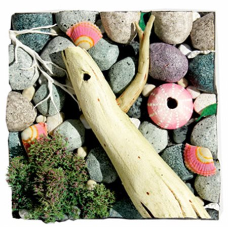 GILARDI PIERO Ciotoli chiari poliuretano espanso cm. 30 X 30 X 15 Titolo,...