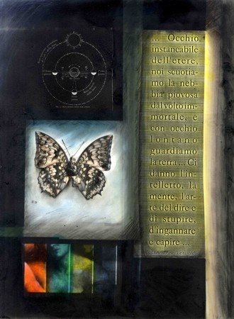 MARCELLO LUCADEI 8D falena, 2011 Tecnica mista su carta cm 40x30