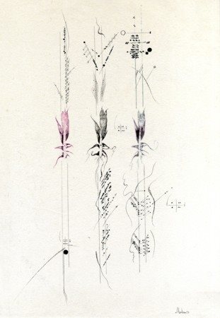 SILVIO MERLINO Senza titolo, 1977 Tecnica mista su carta, cm 47x32