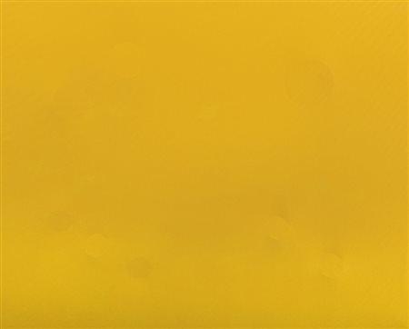 SPENCER MAIA Milano 19/09/1975Senza titolo, 2014acrilici su tela estroflessa...