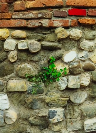 Mauro Capitani (San Giovanni Val d'Arno 1949) MURO ITALIANO, 2011 Foto con...