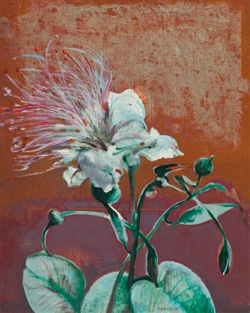 Giuseppe Martinelli (Viareggio 1930) FIORE DI CAPPERO, 1978 Olio su tela, cm....