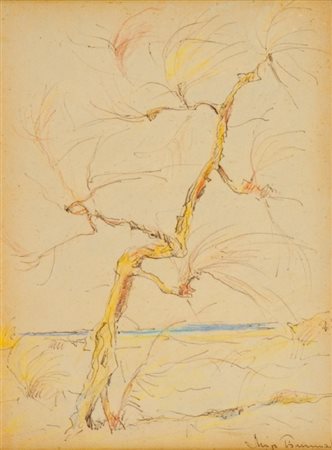 Ghigo Tommasi (Firenze 1906 - 1997) VECCHIA TAMERICI, 1973 Tecnica mista su...