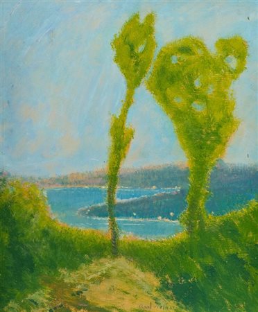 Raul Viviani (Firenze 1883 - Rapallo (Ge) 1965) PAESAGGIO Tecnica mista su...