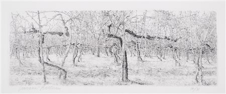 BARBISAN GIOVANNI Treviso 1914 - 1988 Vigneto 1958 acquaforte es. III/X...