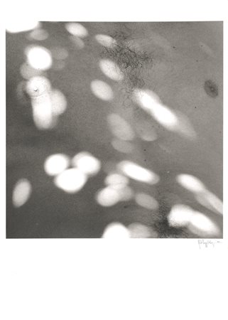 Robert Mapplethorpe (1946-1989) Capri Firmata e datata Robert Mapplethorpe...