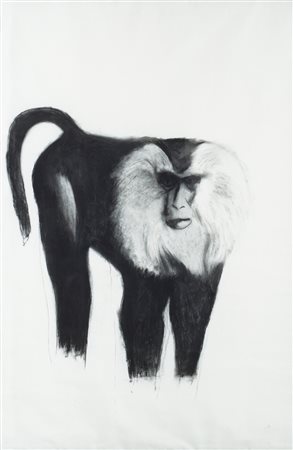 Lorenzo Scotto di Luzio (1972) Senza titolo (Scimmia) Carboncino su carta cm...
