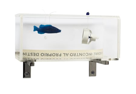 Letizia Cariello (1965) Andare incontro al proprio destino Pesciolino di...