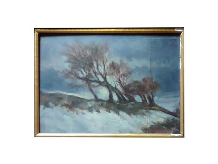 Anonimo (G. Fantauito ?) Alberi olio su tavola, cm 23x32 Firmato in basso a...