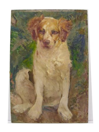 Anonimo Senza titolo (cane) olio su tela, cm 70x45 Siglato in basso a destra