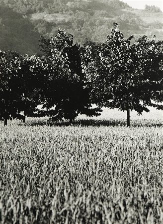 Gabriele Basilico (1944-2013) Novi, 1970 Stampa vintage alla gelatina sali...